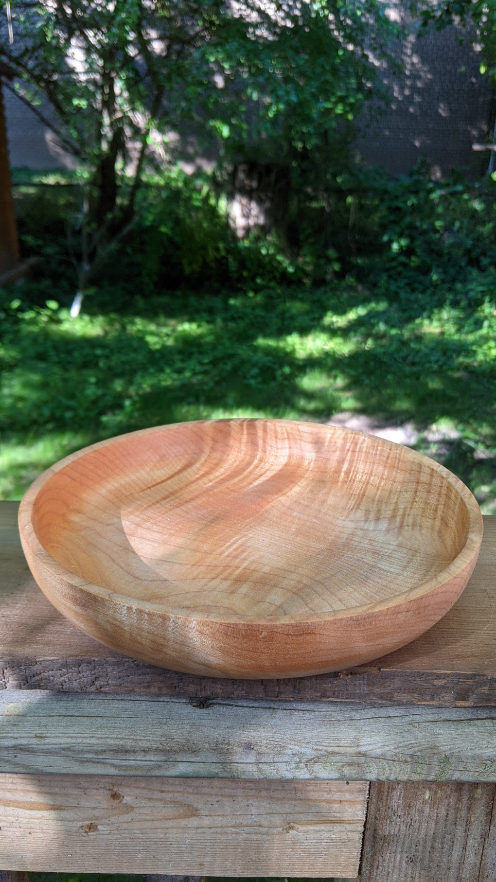 Fig Maple Bowl 8