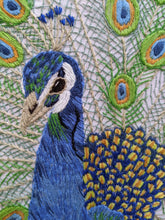 Load image into Gallery viewer, Purdy Peacock